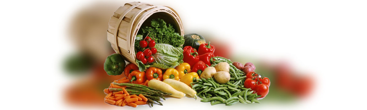 fisioterapia_adal_alcorcon_nutricion Fisioterapia Adal Alcorcón