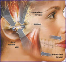 Fisioterapia Adal Alcorcón
