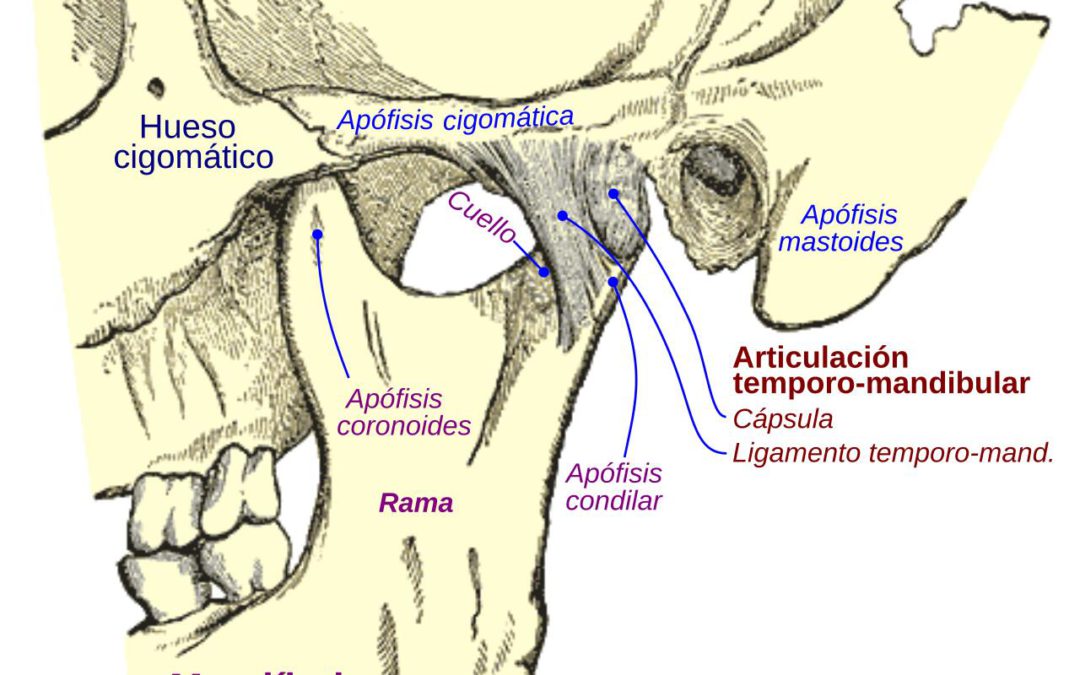 Fisioterapia Adal Alcorcón