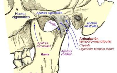 ► Articulación temporomandibular (ATM) ¿porqué tratarla?